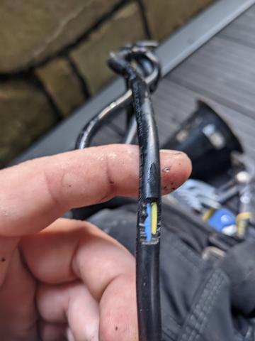 Electrical fault finding has identified a number of decking lights that have rodent damage